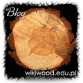 Blog i encyklopedia poświęcone technologii drewna - wikiwood.edu.pl